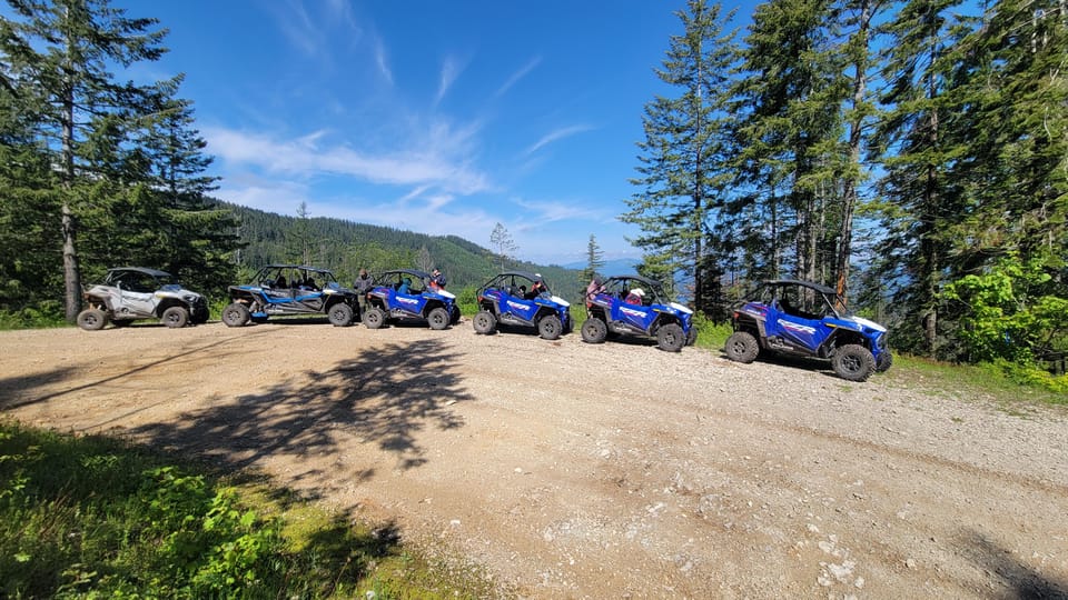 Coeur d’Alene: Off Road UTV Rental in National Forest – Coeur d’Alene, Idaho