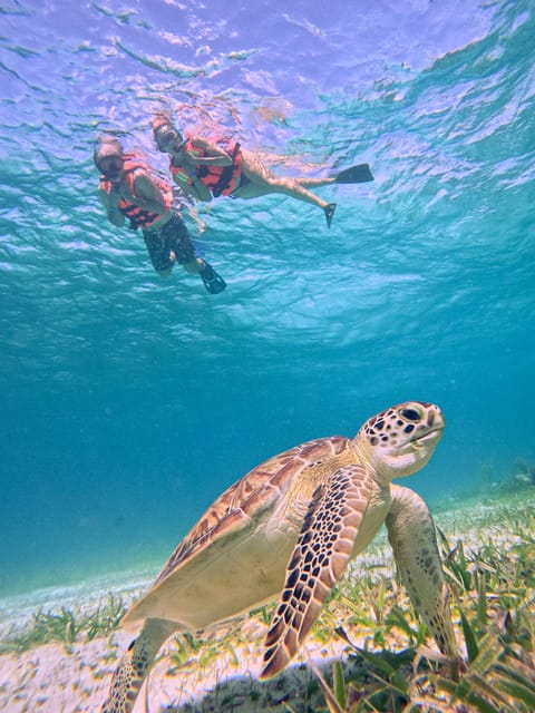 Costa Maya: Snorkeling Tour to the Reef – Mahahual, Mexico