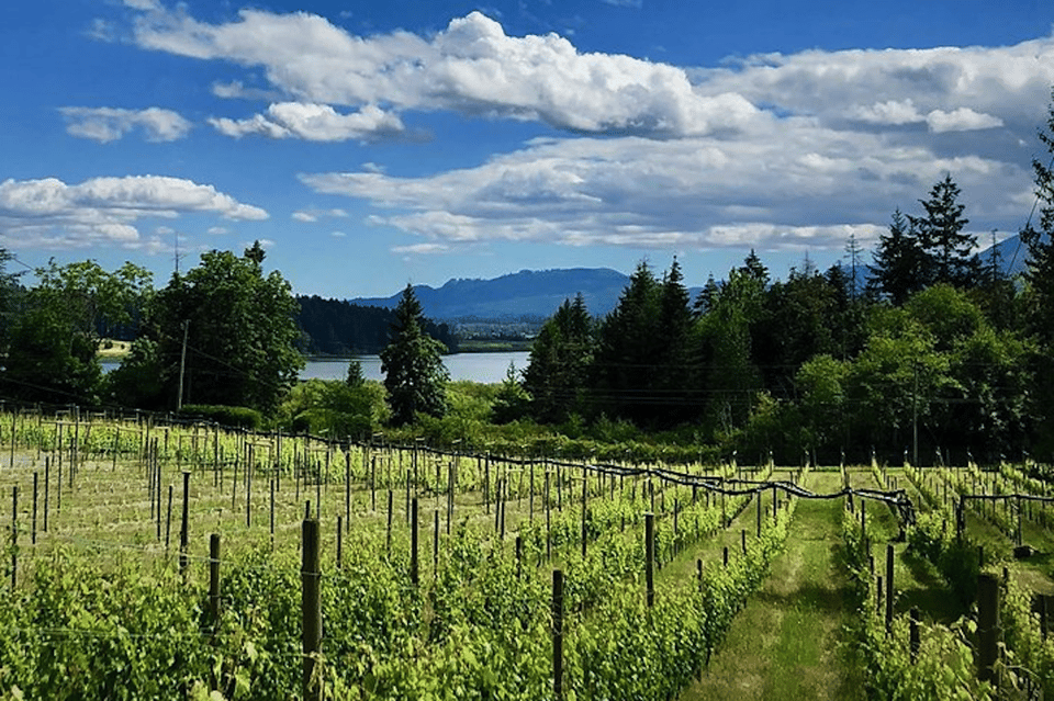 Cowichan Valley Premium Wine Tour – Blue Grouse Estate Winery, Canada