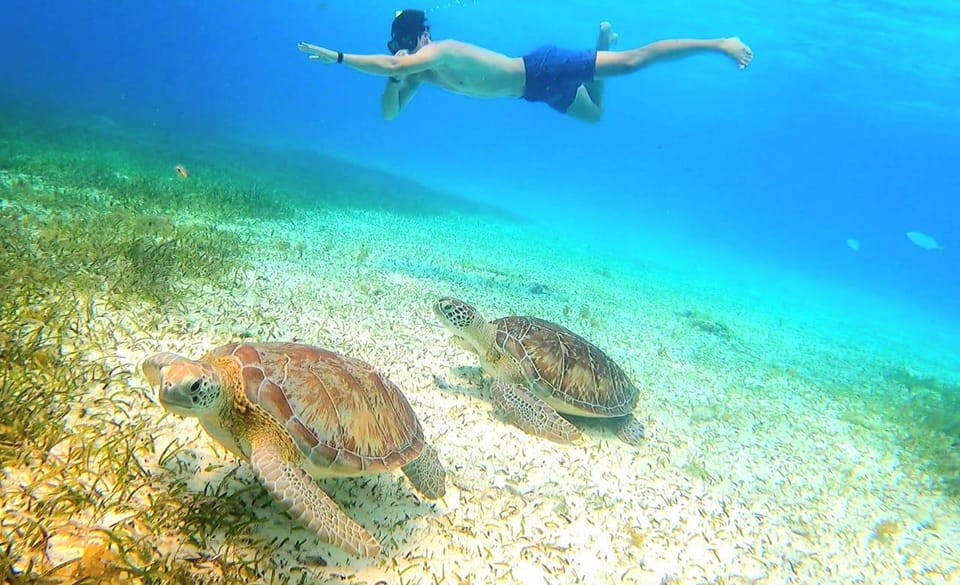 Cozumel Catamaran party; el cielo, Colombia & palancar reef – Playa El Cielo, Mexico