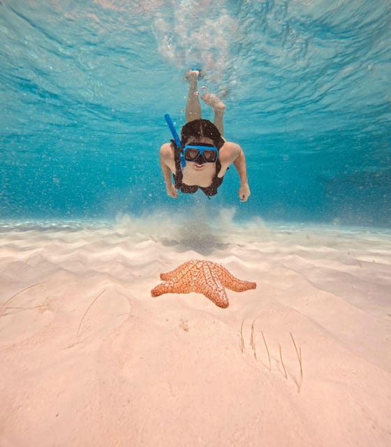 Cozumel: Palancar, Cielo, and Cielito Snorkeling PRIVATE – Playa El Cielo, Mexico