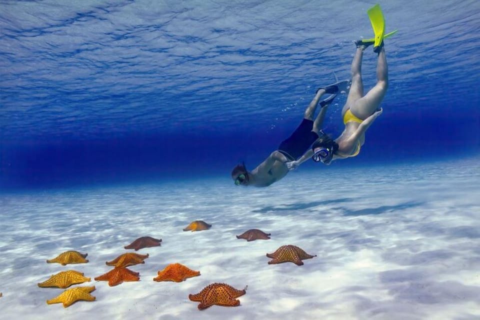 Cozumel: Private Snorkel Tour El Cielo + 3 Reefs Food Drinks – San Francisco Beach Club, Mexico