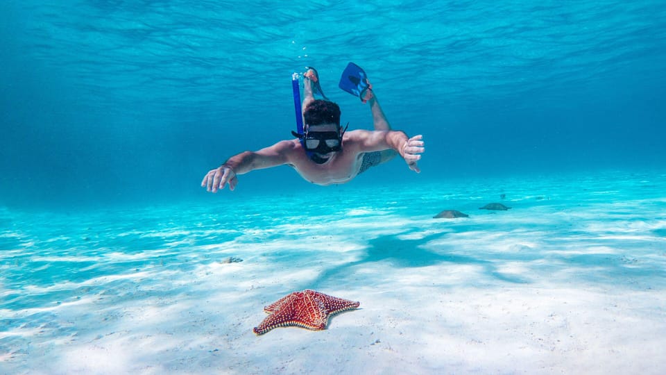 Cozumel Starfish and Tropical Reef Snorkeling by Powerboat – Playa El Cielo, Mexico