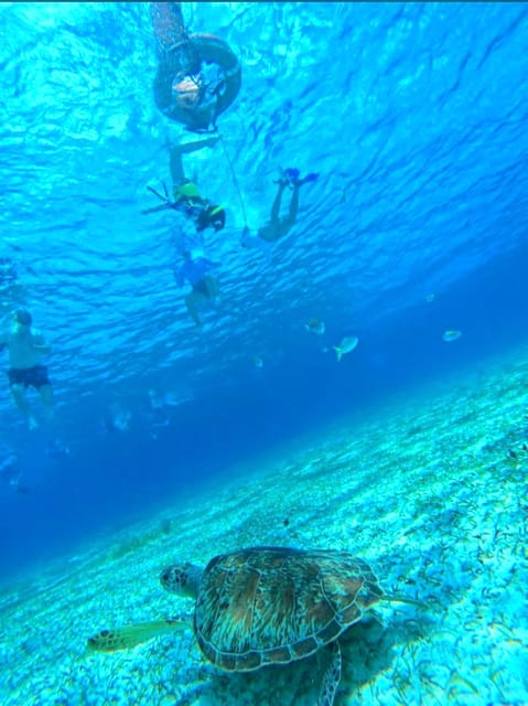 Cozumel: snorkeling in reefs + visit to “El cielo”. – Arrecife Palancar, Mexico