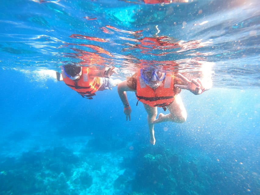 Cozumel: the starfish sanctuary sky – San Miguel de Cozumel, Mexico