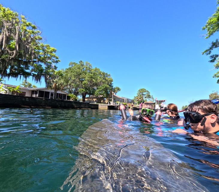 Crystal River: Guided Manatee Snorkeling Tour – Crystal River, Florida