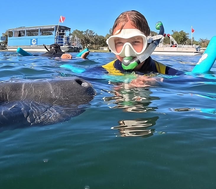 Crystal River: Guided Manatee Snorkeling Tour with Photos – Crystal River, Florida