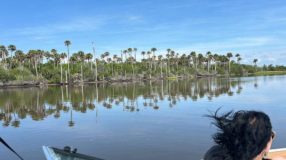 Daytona Beach: Coastal Discovery Cruise – New Smyrna Beach, Florida