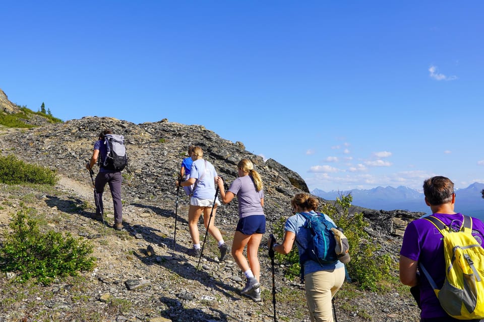 Denali: 5 Hour Guided Into The Mountains Hiking Tour – Alaska, Alaska