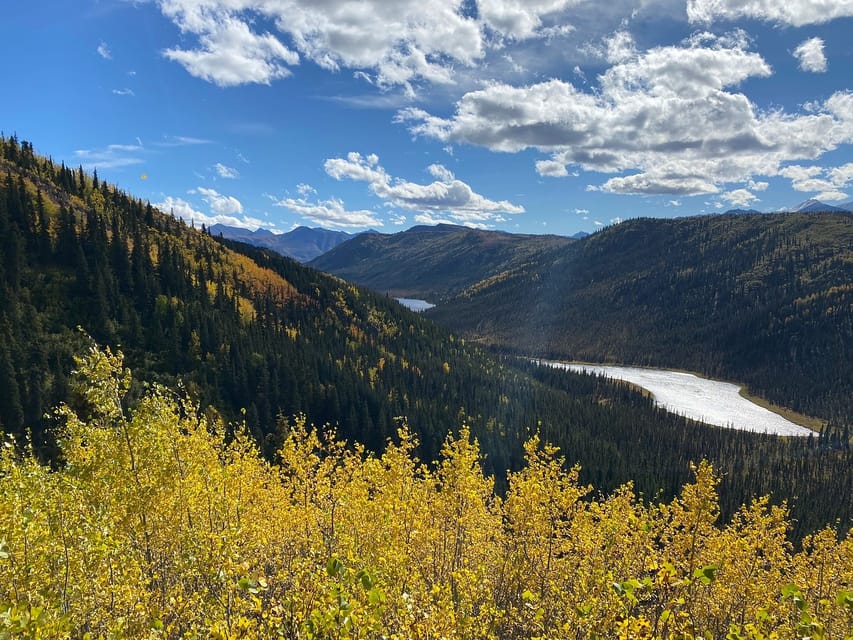 Denali: 5-Hour Guided Wilderness Hiking Tour – Alaska, Alaska