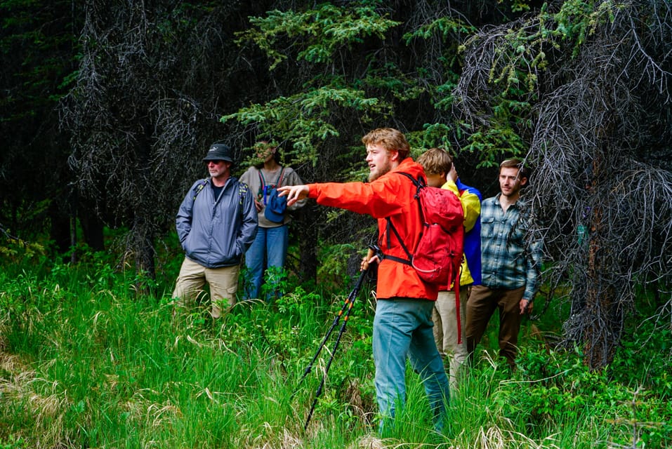 Denali: Naturalist Walking Tour in Denali National Park – Alaska, Alaska