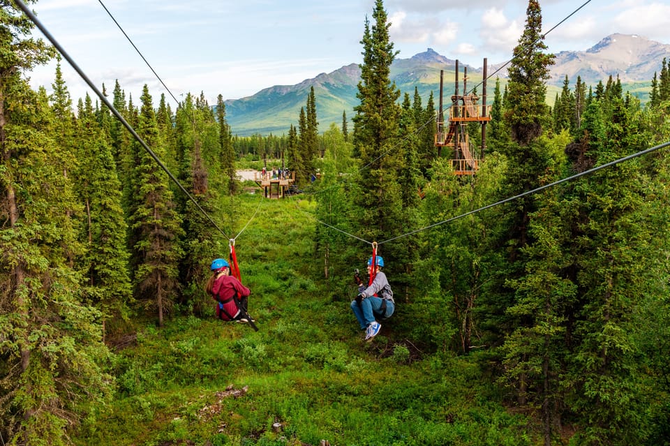 Denali Park Zipline Adventure – Alaska, Alaska