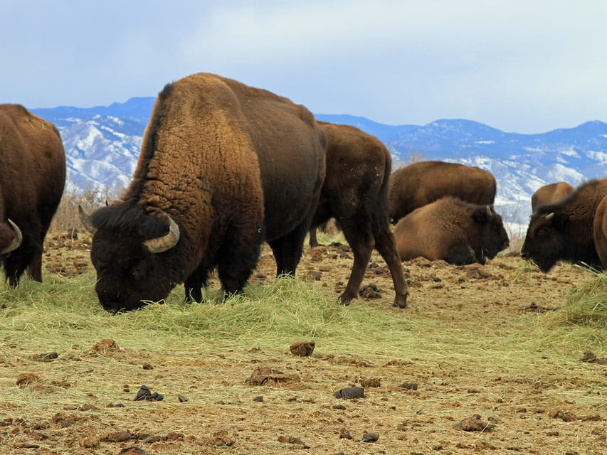 Denver: Get High on a Mountain Tour with Sunset Views – Denver, Colorado