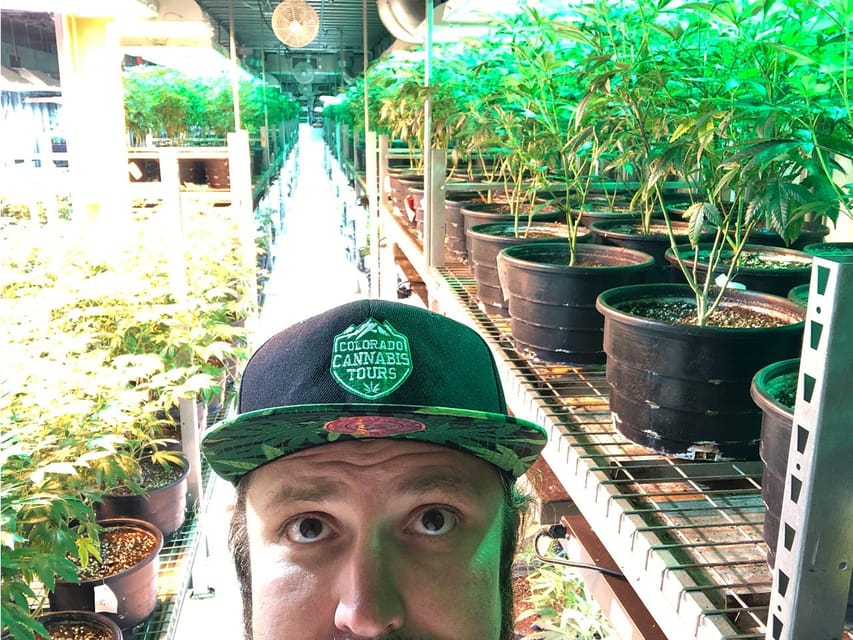 Denver: Wake and Bake Original Cannabis Tour – Denver, Colorado