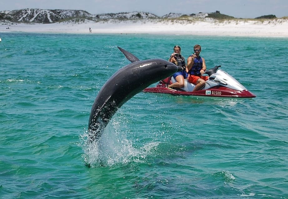 Destin: Crab Island Dolphin Watching Jet Ski Tour – Destin, Florida