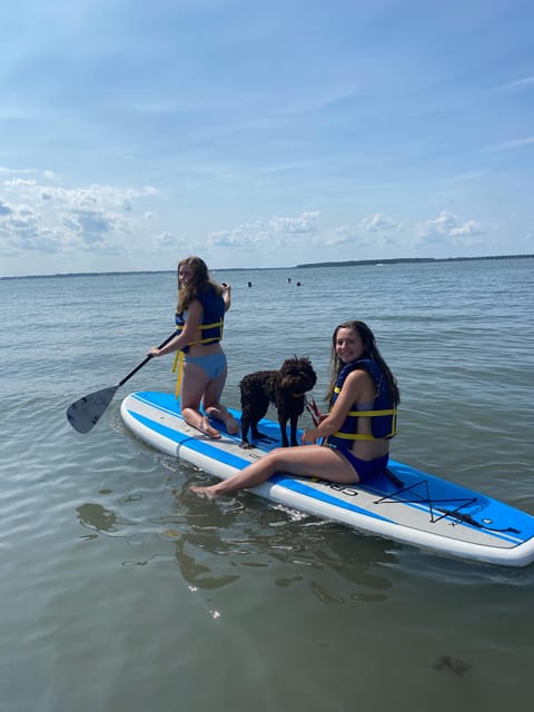 Dewey Beach 2-Hour Paddleboard Rentals – Rehoboth Bay, Delaware