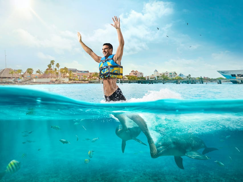 Dolphin Royal Swim VIP en Isla Mujeres – Dolphin Discovery Isla Mujeres, Mexico