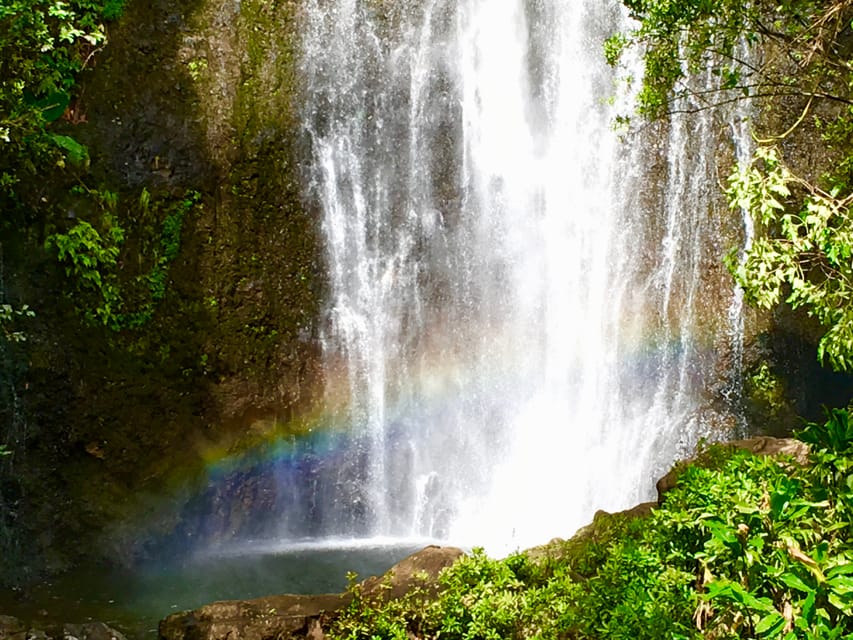 East Maui: Private Rainforest or Road to Hana Loop Tour – Hawaii, Hawaii