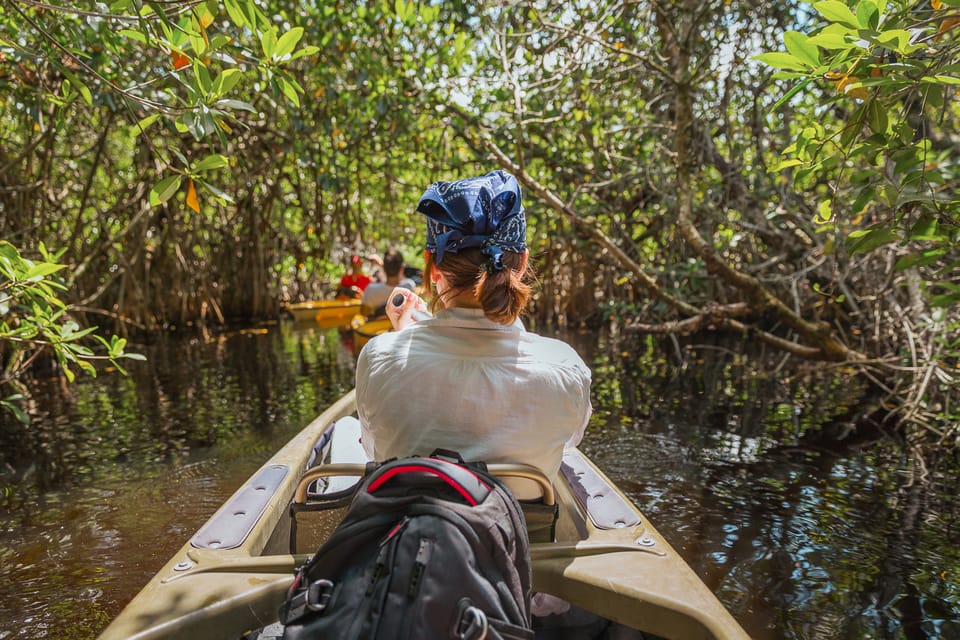 Everglades National Park: Mangrove Tunnel Kayak Eco-Tour – Everglades City, Florida