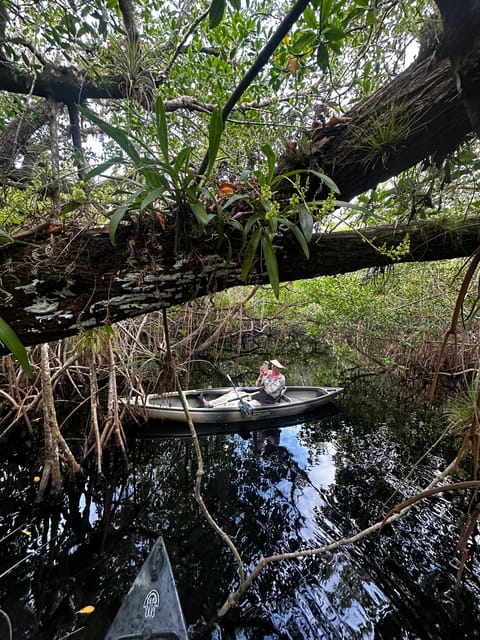 Everglades: Private Kayak Tour with Guide – Copeland, Florida