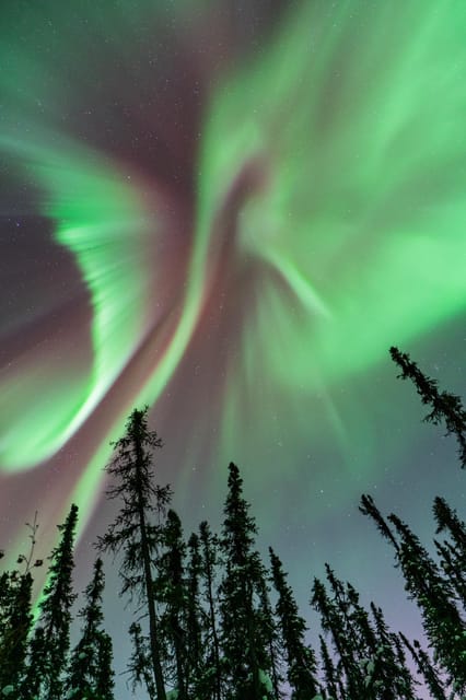 Fairbanks: Aurora Borealis Northern Lights Tour – Fairbanks, Alaska