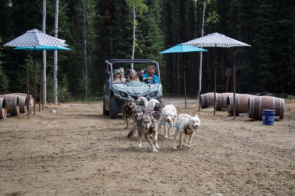 Fairbanks: Summer Mushing Cart Ride and Kennel Tour – Fairbanks, Alaska