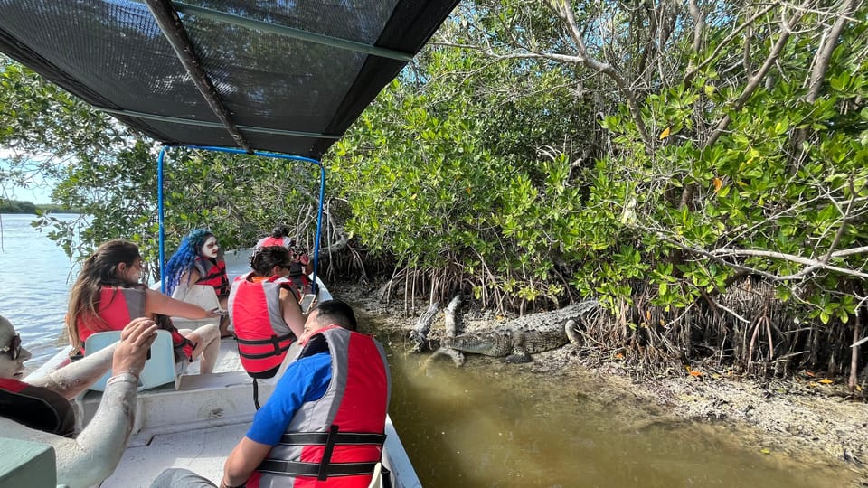 Flamingo tour Rio Lagartos, Yucatan 2 hours – Ría Lagartos Biosphere Reserve, Mexico