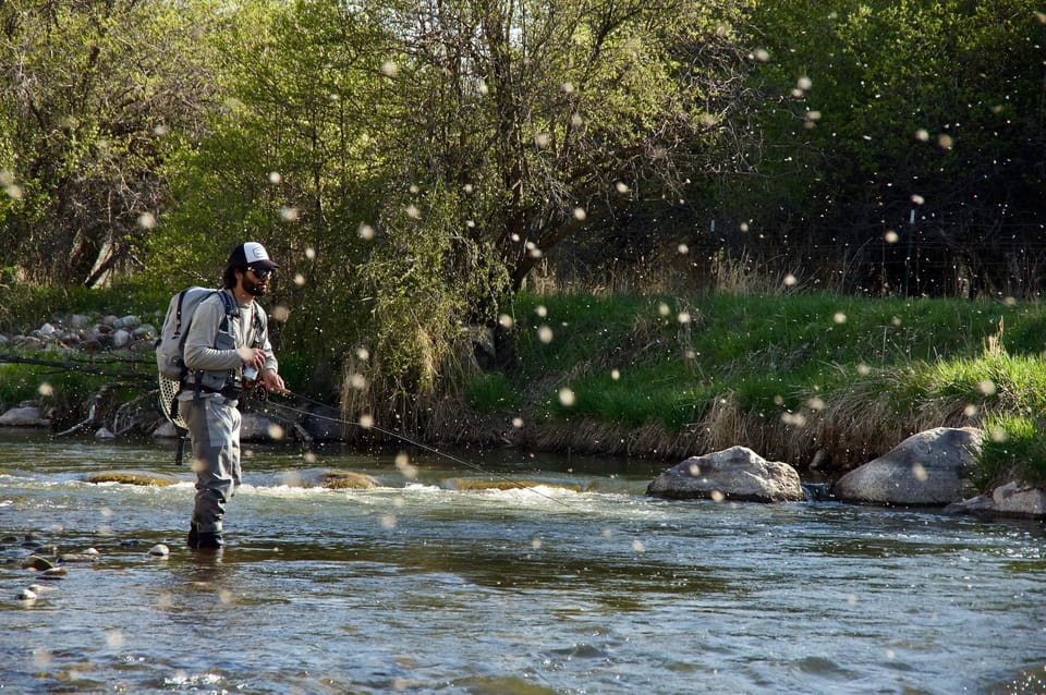 Fly Fish Utah Blue Ribbon Trout Waters – Park City, Utah