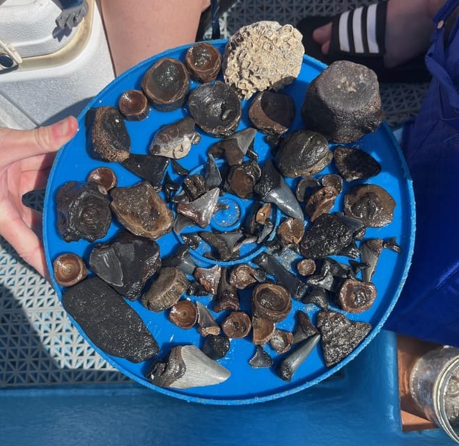 Folly Beach: Morris Island Boat Tour with Fossil Hunting – Morris Island Lighthouse, South Carolina