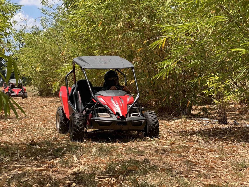 Fort Meade: Bamboo Dune Buggy Tour – Orlando, Florida