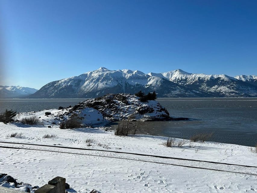 From Anchorage: Alaska Wildlife Center & Turnagain Arm Tour – Anchorage, Alaska