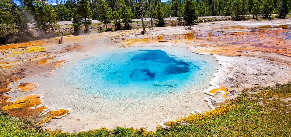 From Bozeman: Yellowstone Full-Day Tour (Lower Loop) – West Thumb Geyser Basin Trail, Wyoming