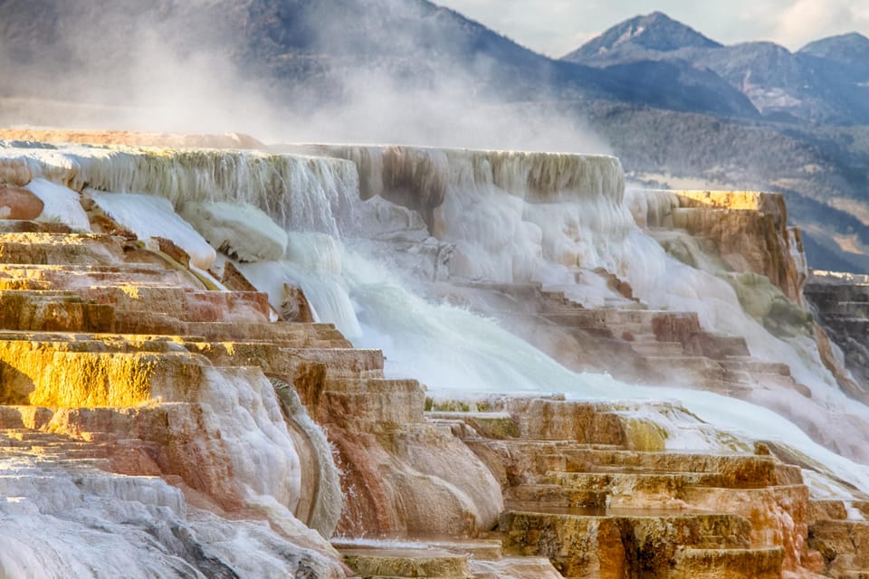 From Bozeman: Yellowstone Full-Day Tour (Upper Loop) – Norris Geyser Basin, Wyoming