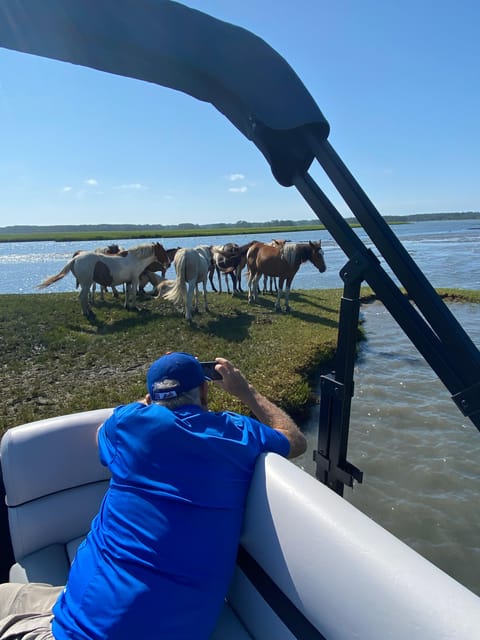 From Chincoteague: Pony and Wildlife Boat Tour – Chincoteague, Virginia