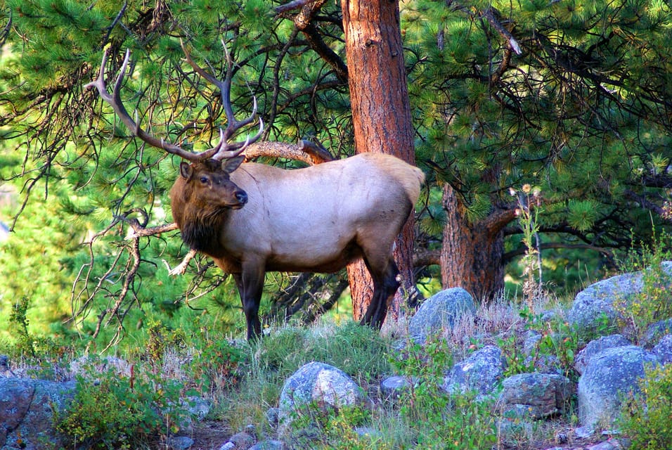 From Denver: Hike the Rockies Tour – Denver, Colorado