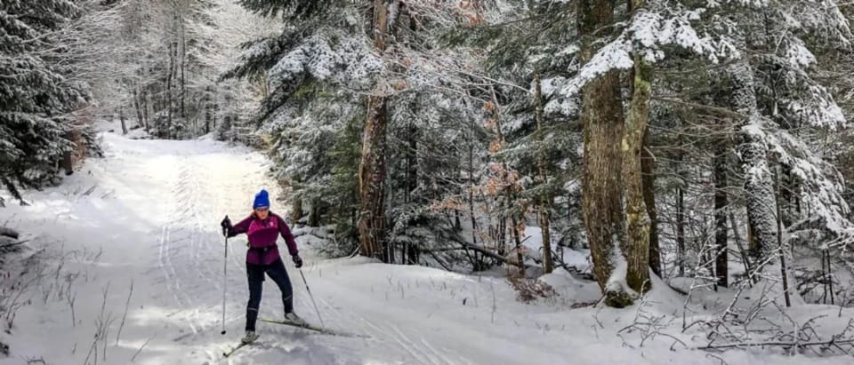 From Gardiner: Guided Yellowstone Cross-Country Skiing Tour – Lamar Valley, Wyoming