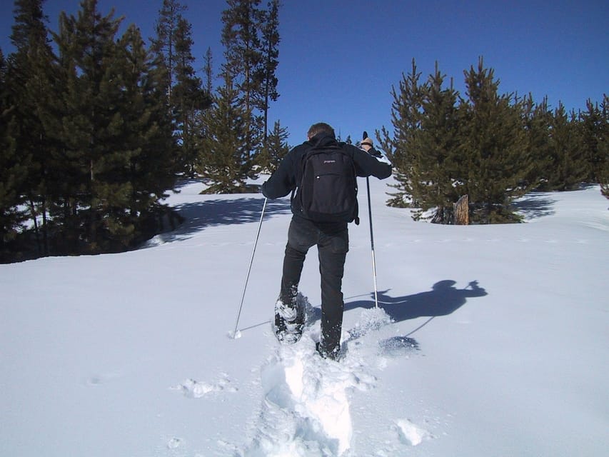 From Gardiner: Yellowstone National Park Snowshoe Tour – Lamar Valley, Wyoming