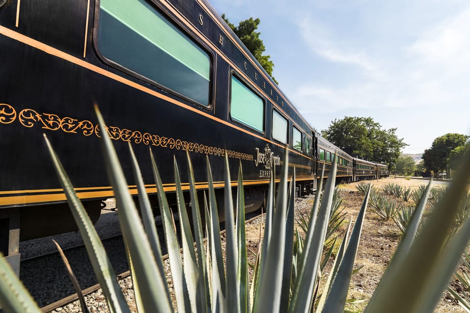 From Guadalajara: La Rojeña Distillery & Jose Cuervo Train – Tequila, Mexico