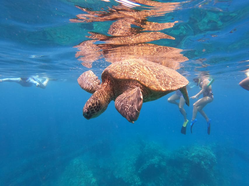 From Ka’anapali: West Maui Half-Day Snorkel Tour w/ Food – Hawaii, Hawaii