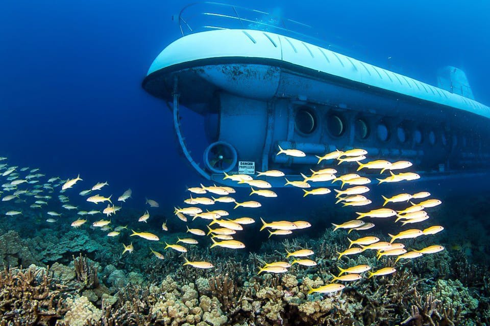 From Kona: Big Island Underwater Submarine Adventure – Kailua-Kona, Hawaii