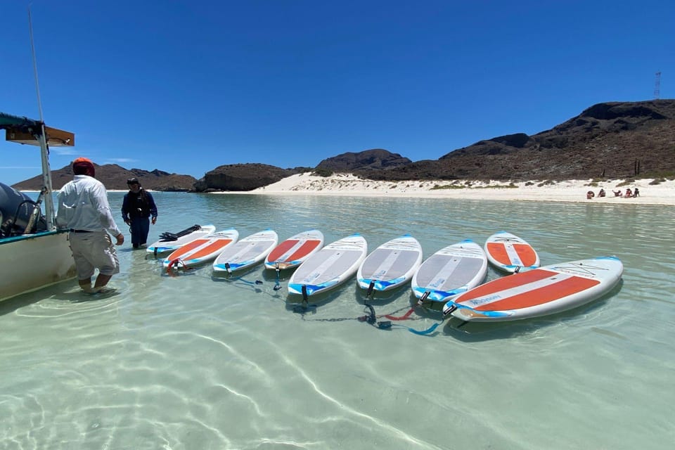 From La Paz: Sea Lions & Paddleboard Tour in Balandra – La Paz, Mexico, Mexico