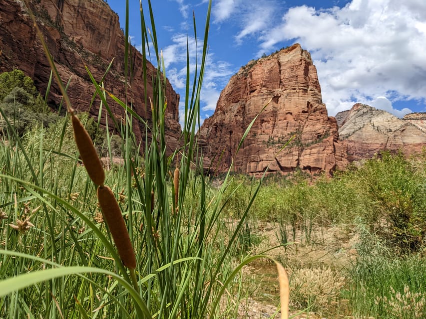 From Las Vegas: Zion National Park Small Group Adventure – Zion National Park, Utah