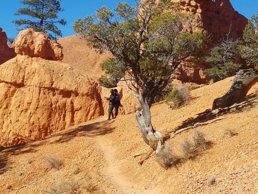 From Las Vegas: Zion and Bryce Canyon Guided Day Tour – Zion National Park, Utah