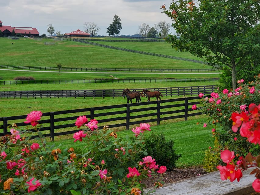 From Lexington: Kentucky Horse Farms Tour – Lexington, Kentucky