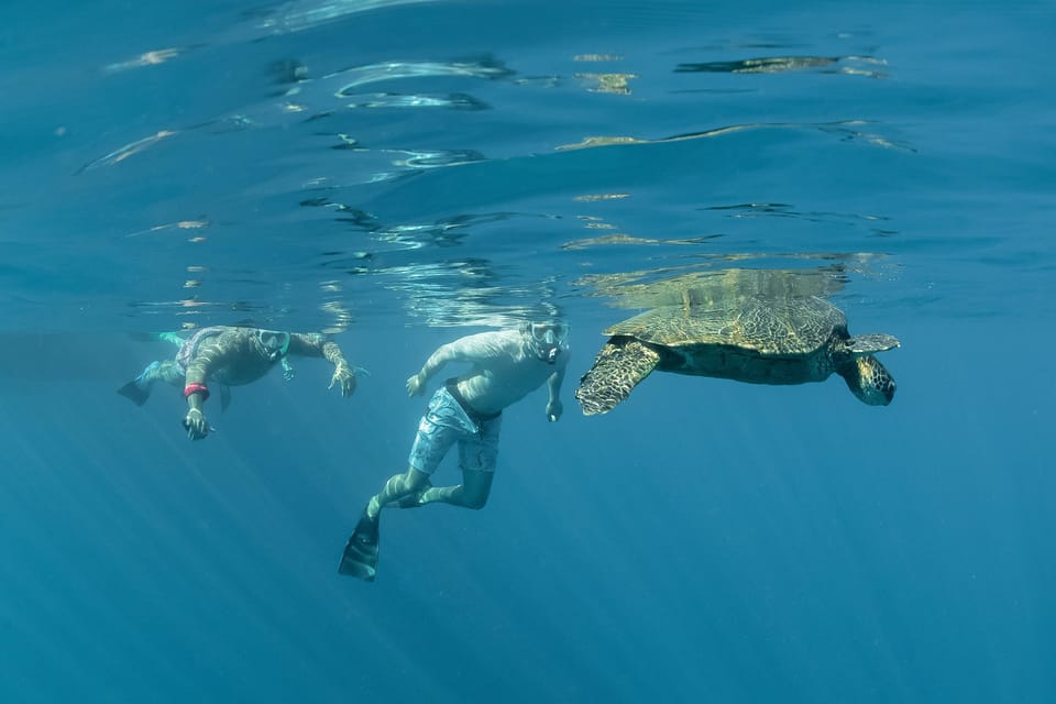 From Ma’alaea: AM Turtle Town Snorkel Aboard Quicksilver – Maalaea, Hawaii