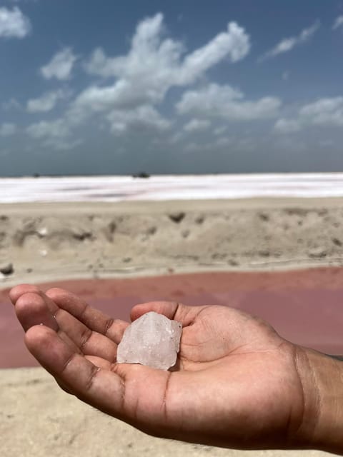 From Merida: Ria Lagartos, Coloradas & Cancunito Beach Tour – Las Coloradas, Mexico