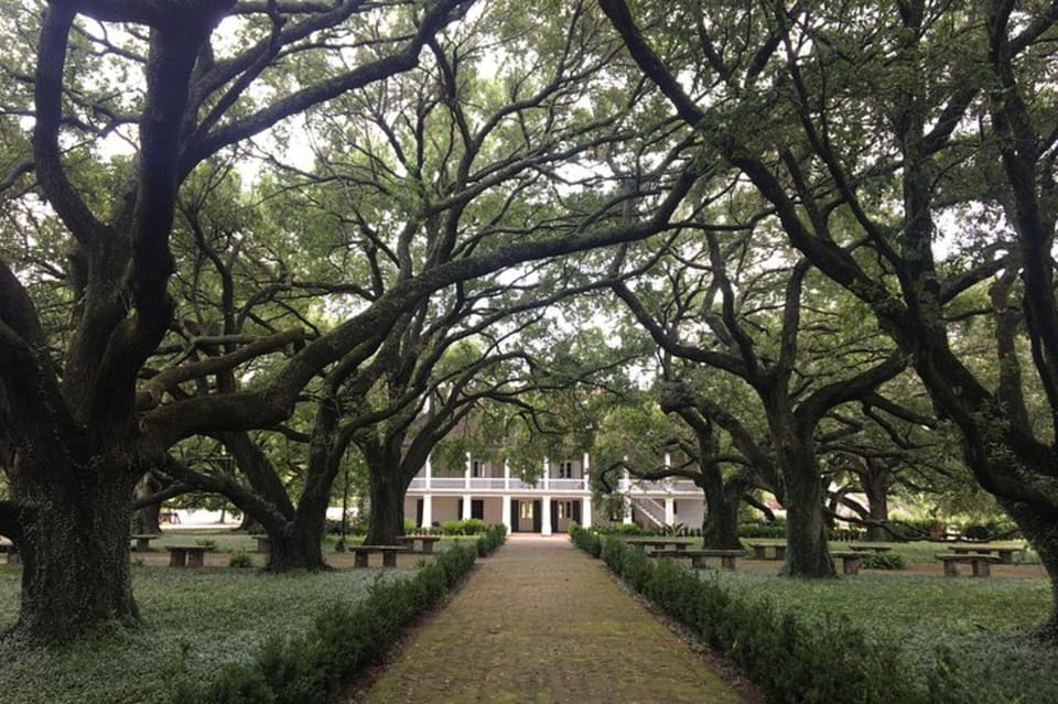 From New Orleans: Whitney Plantation and Airboat Tour Combo – Vacherie, Louisiana