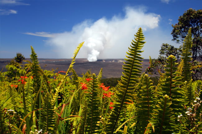 From Oahu: Big Island Volcano Adventure – Hawaii, Hawaii