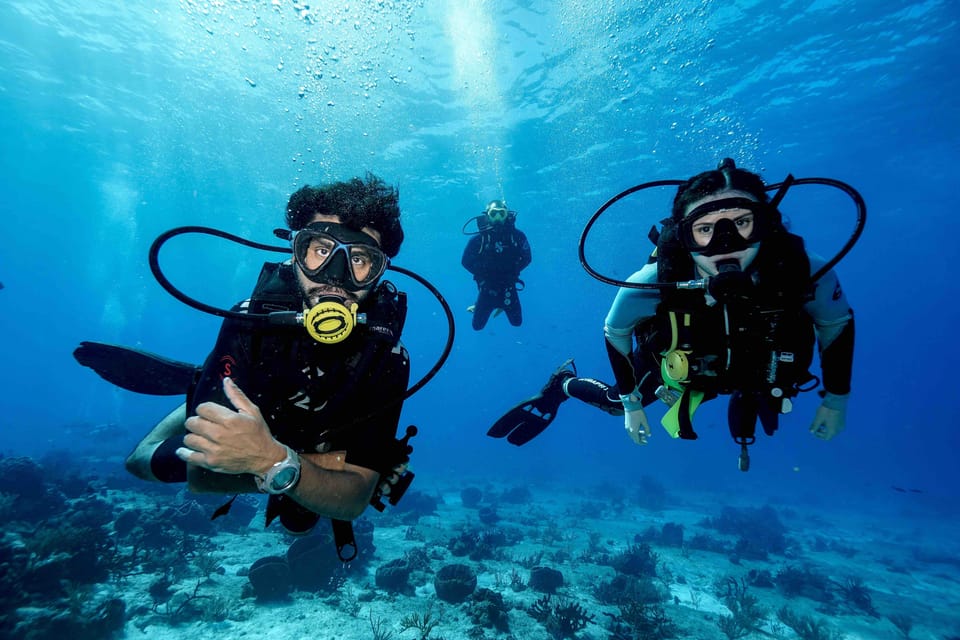 From Playa del Carmen: Cozumel Diving Adventure – Playa del Carmen, Mexico