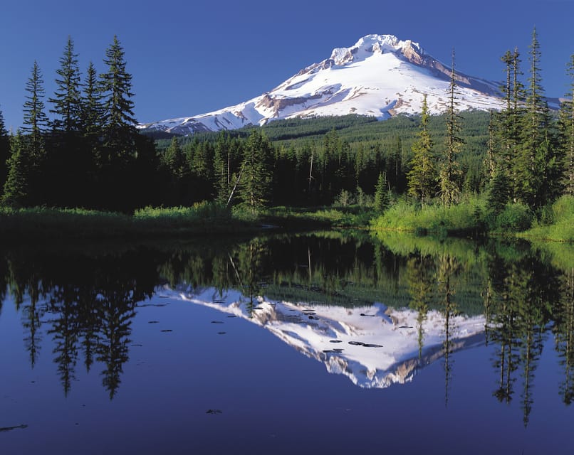 From Portland: Columbia Gorge Waterfalls and Mt. Hood Tour – Mt. Hood National Forest, Oregon